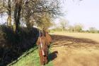 Novice Course - Deer Stalking