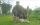 Muntjac Stalking